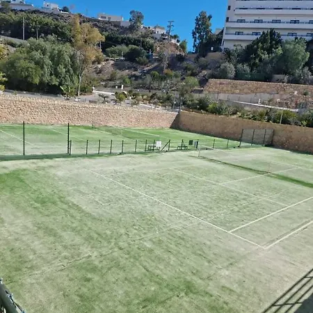 Sol Mediterraneo - Palm 10